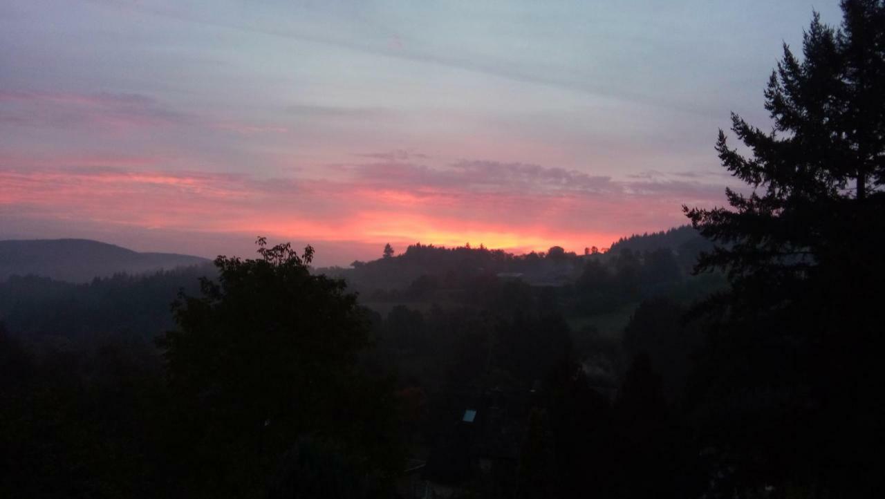 Ferienwohnung Brillant Am Nationalpark Hunsrueck-Hochwald Hettenrodt Luaran gambar